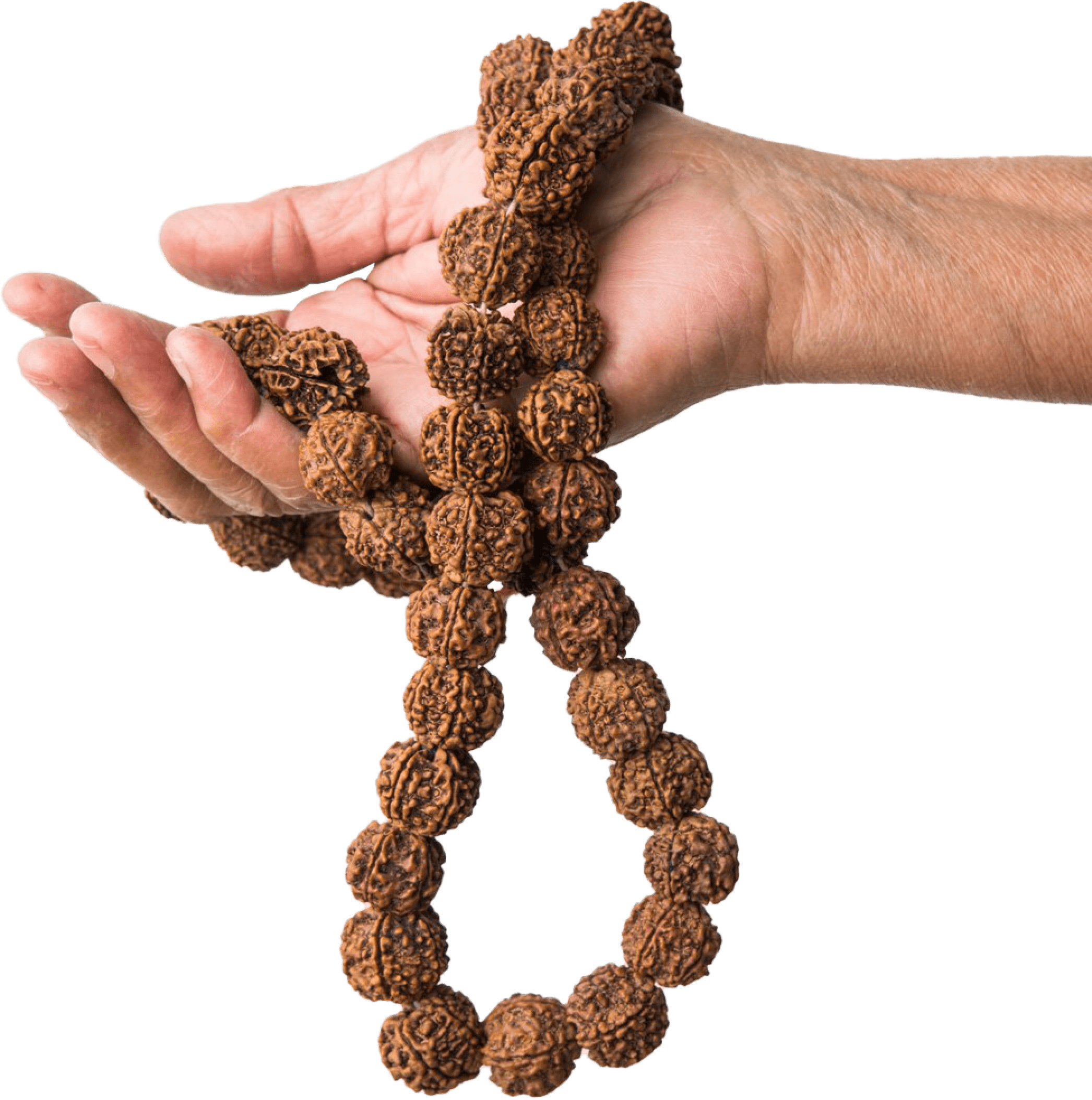 Rudraksha Hand