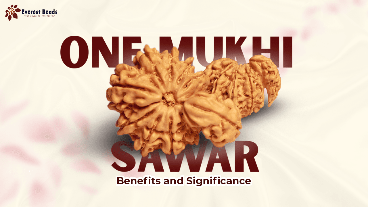 One Mukhi Sawar Rudraksha Benefits and its Significance