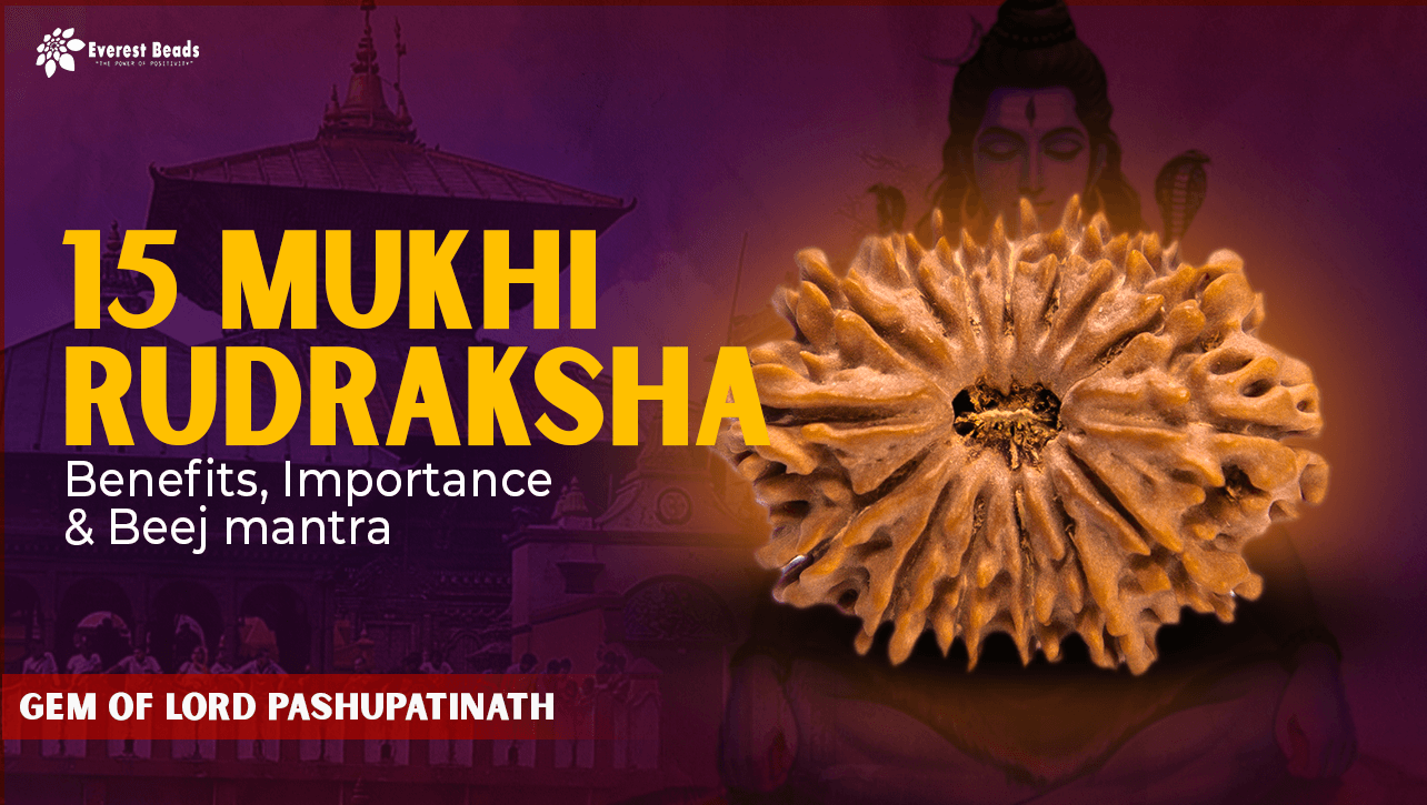 15 Mukhi Rudraksha: Benefits, Importance, and Beej Mantra