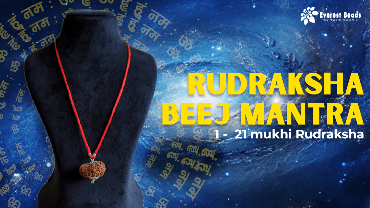 Rudraksha Beej Mantra: 1 to 21 Mukhi Rudraksha