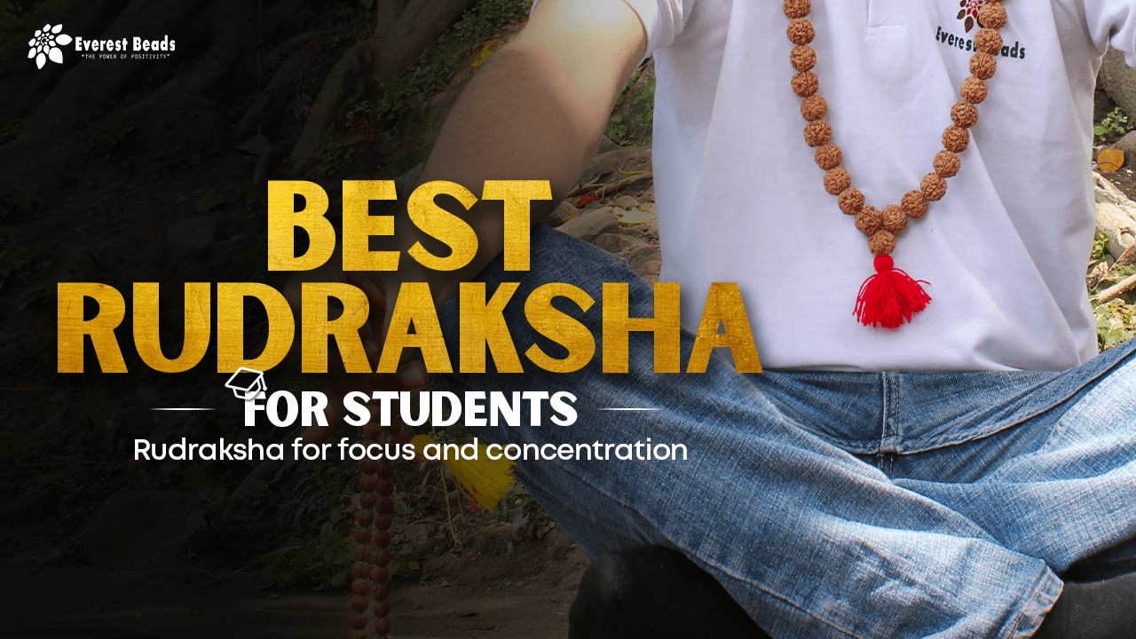 Best Rudraksha for students: Rudraksha for Focus and concentration