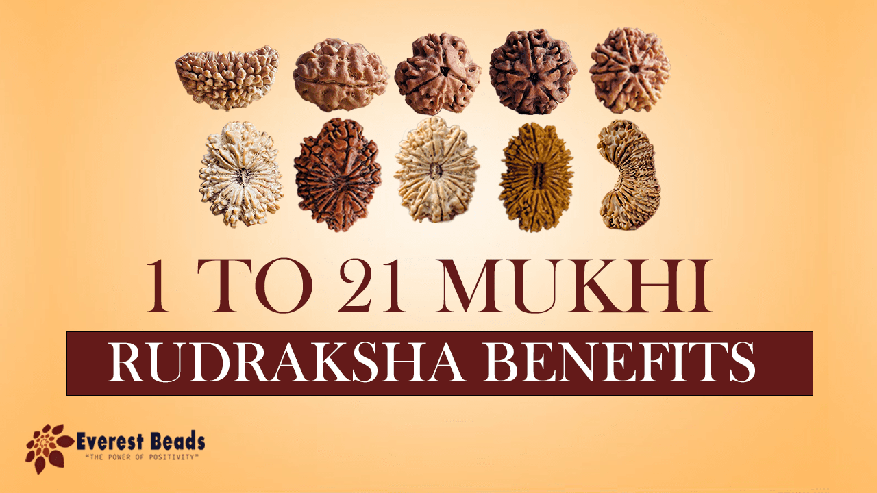 1 to 21 Mukhi Rudraksha Benefits