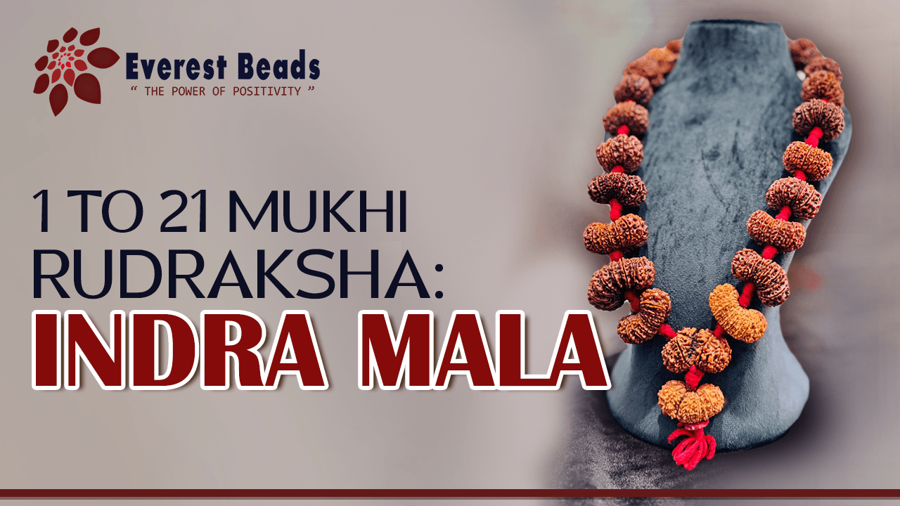 1 to 21 Mukhi Rudraksha: Indra Mala