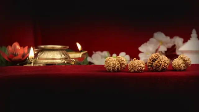 Rudraksha
