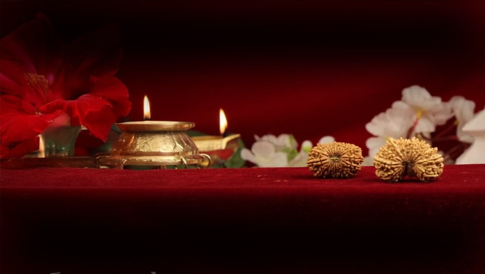 Twenty One Mukhi Rudraksha