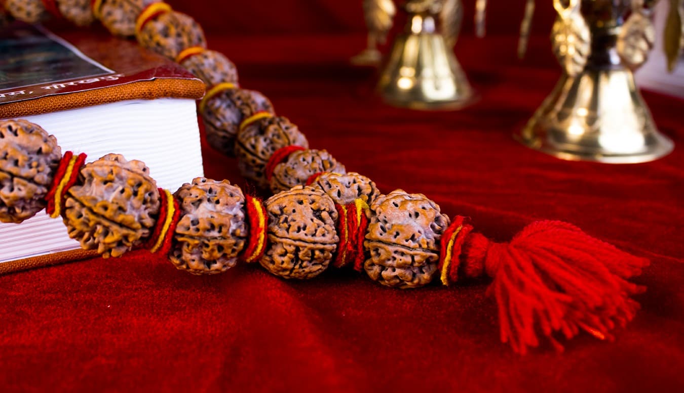 5 Mukhi Mala