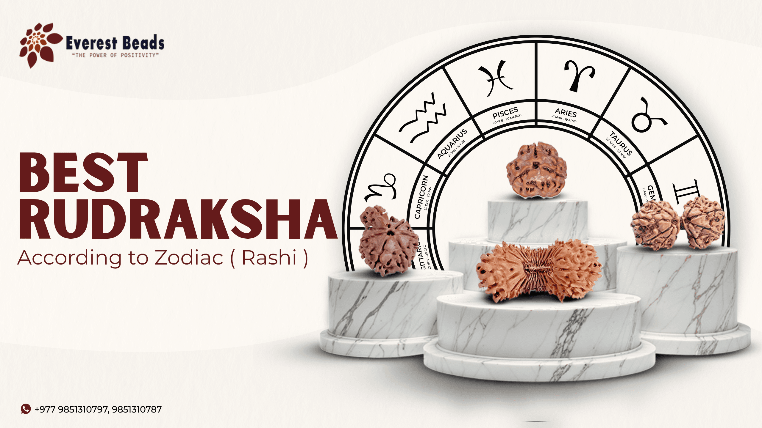 Best Rudraksha According to your Zodiac Sign (Rashi) | Everest Beads